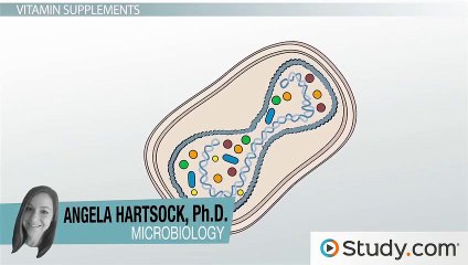 Microbial Factories- Using Bacteria to Make Specific Compounds
