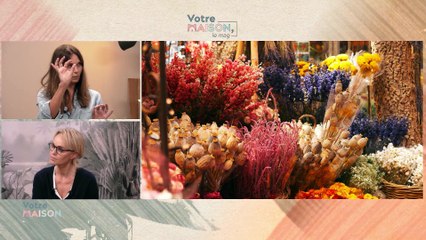 Votre maison, le mag - Lumière, Parquet & Jardin Zéro Déchet