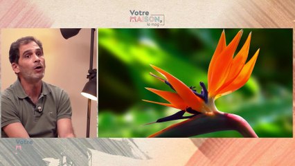 Votre maison, le mag - Énergie, Peinture Tendance & Balcon Végétal