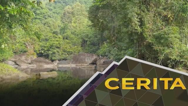 Cerita Sebalik Berita: Hari Bumi 2022: Apa jadi jika hutan seluas ‘Singapura’ dihapuskan?