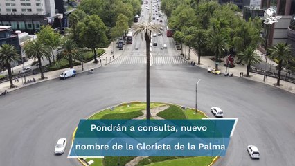 Dirán adiós a la Palma de Paseo de la Reforma