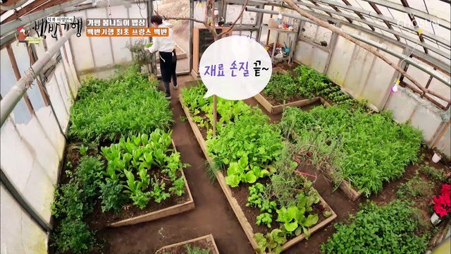 낯선 모습 식객 인생 처음 본 프랑스 메뉴판 TV CHOSUN 202200422 방송