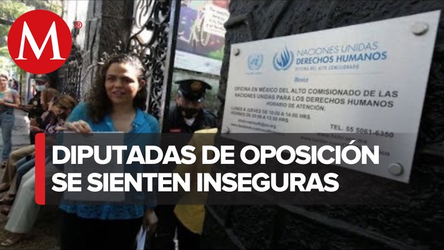 Diputados piden intervención de ONU para cesar campaña contra oposición