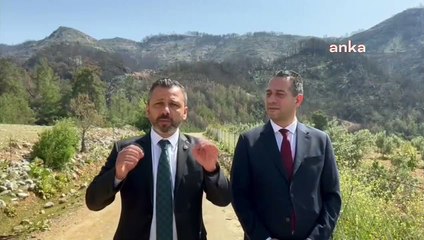 CHP'li vekiller geçen yıl yanan ormana gitti; "Kesimlerle ilgili yapılan usulsüzlüklere ilişkin pis kokular alıyoruz"