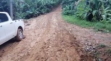 Cientos de quintales de cacao a punto de perderse por falta de camino en Yamasá