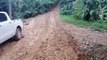 Cientos de quintales de cacao a punto de perderse por falta de camino en Yamasá