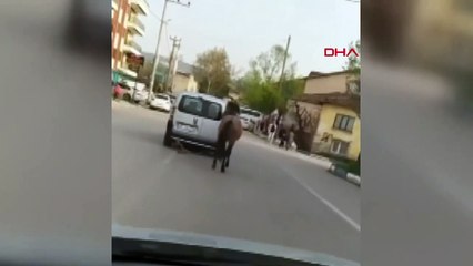 Aracına bağladığı atı metrelerde sürükledi