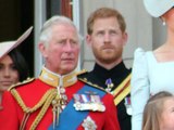 Prinz Harry: Herrscht zwischen ihm und Prinz Charles Funkstille?