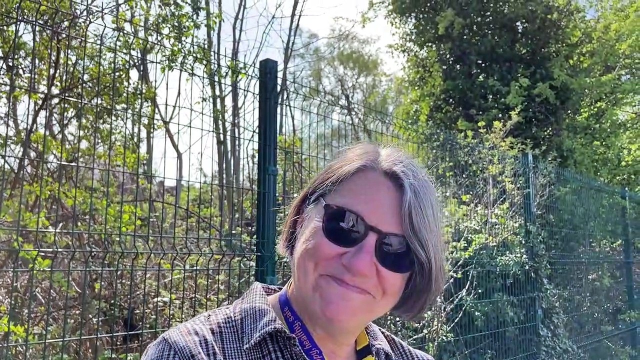 Vox pops 22-04-22 - Should Boris Johnson resign over partygate?