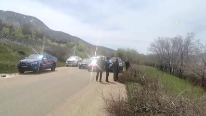 Hazar Gölü'ne düşen otomobilin sürücüsü yaralandı