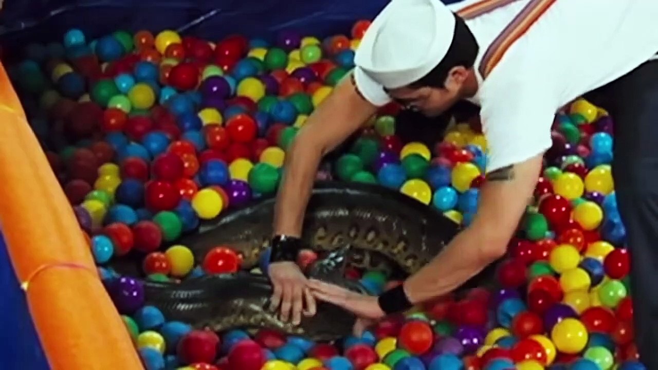 By The Numbers - Best Jackass Cast Member