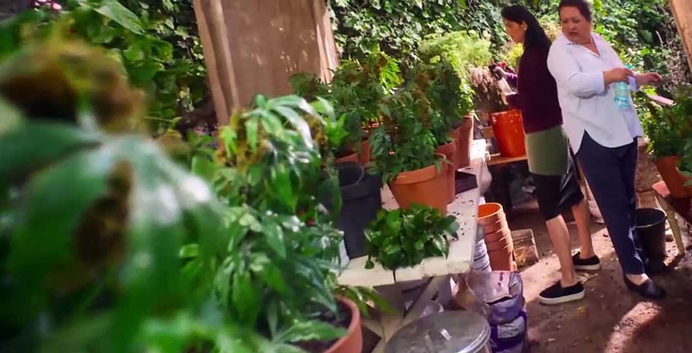 The House of Flowers S01 E10
