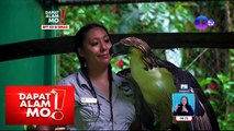 Dapat Alam Mo!: Relasyon ng isang tao at Philippine eagle, paano?