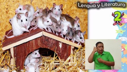 Lengua y Literatura de 2do Grado (23 y 24 de Abril)