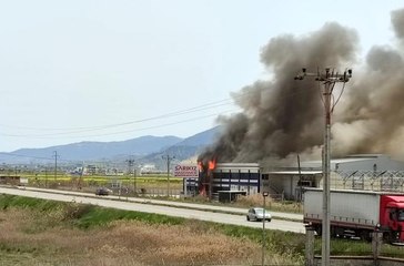 Manisa'da sebze-meyve işletmesinde çıkan yangın korkuttu