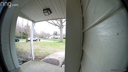 Dogs Take Out Porch Beam