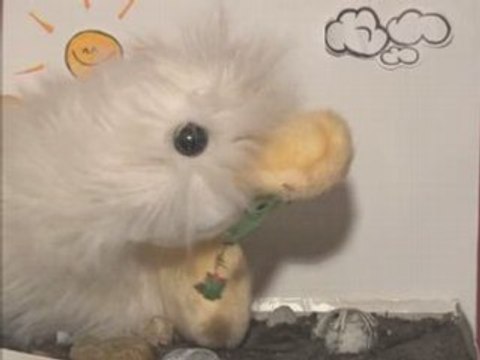 Koen-Bert en de vogelbekdraak