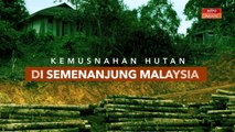 [INFOGRAFIK] Kemusnahan hutan di semenanjung Malaysia
