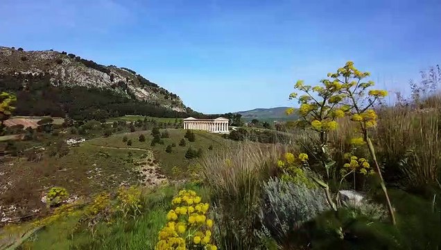 Le installazioni di arte contemporanea nell'area archeologica di Segesta