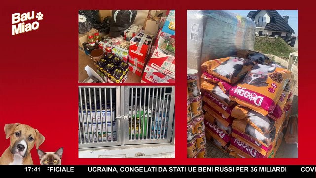 Kiev, tra le bombe per salvare i suoi animali: la storia emozionante: Non potevo scappare ▷ | Bau Miao 2° puntata