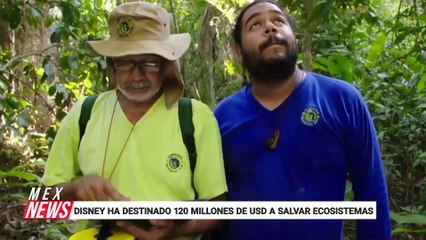 ¿SABÍAS QUE DISNEY CUENTA CON UN FONDO PARA PROTEGER AL PLANETA?