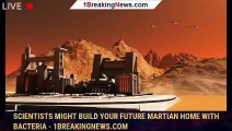 Scientists Might Build Your Future Martian Home With Bacteria - 1BREAKINGNEWS.COM