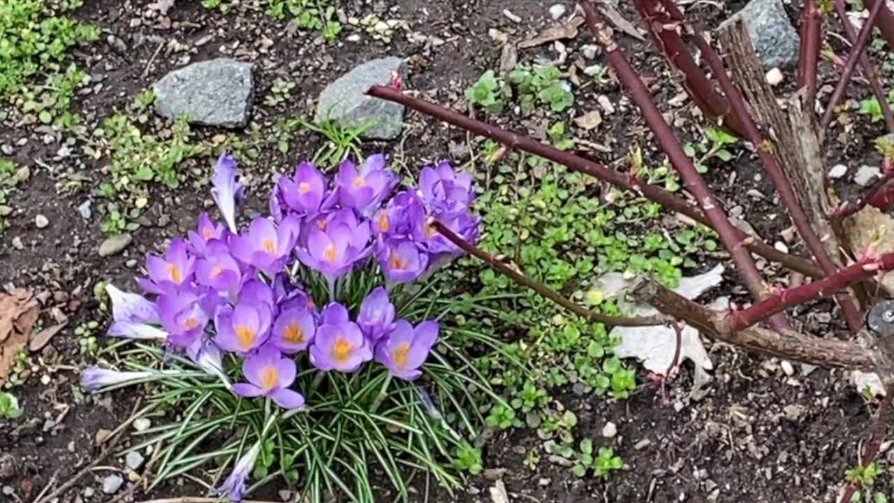 Amberlynn Reid Calling Out Becky Again!  (Karina Kaboom reupload 21/04/2022)