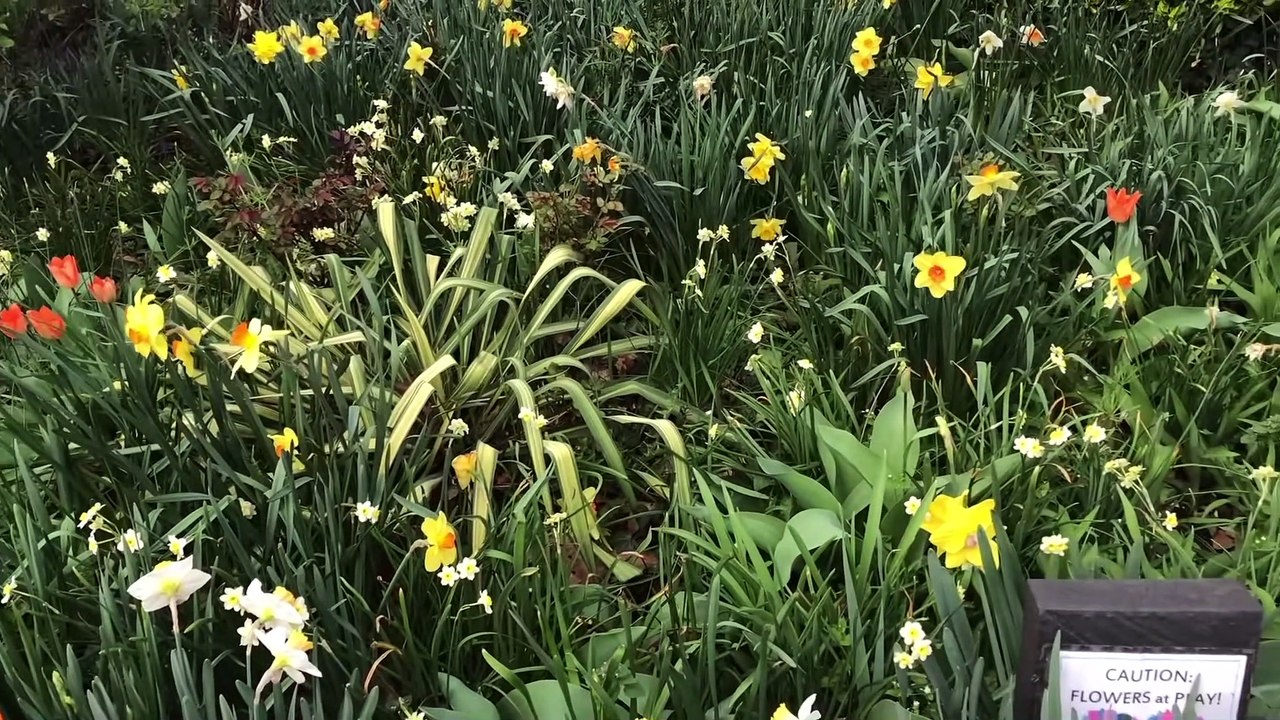 Amberlynn Reid Spills Tea on Her Wedding to Wifey! (Karina Kaboom reupload 19/04/2022)