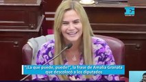 “¡La que puede, puede!”, la frase de Amalia Granata que descolocó a los diputados