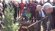 KAHRAMANMARAŞ - Orman Genel Müdürü Karacabey: 