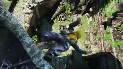 Uncharted 3: Drake's Deception Fort Co-op DLC