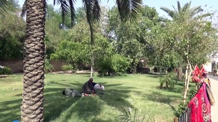 Onda de calor atinge Índia e Paquistão