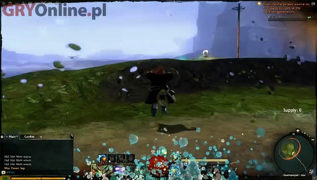 Guild Wars 2 World vs World - GOL