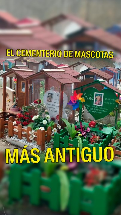 Cementerio Mascotas