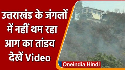 Uttarakhand के जंगलों में नहीं थम रहा आग का तांडव | #Shorts | वनइंडिया हिंदी