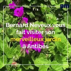 antibes-le-jardin-luxuriant-de-bernard