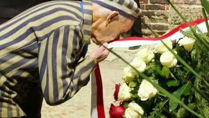 Download Video: Yom Hashoa: Menschen gedenken der 6 Millionen Holocaust-Opfer