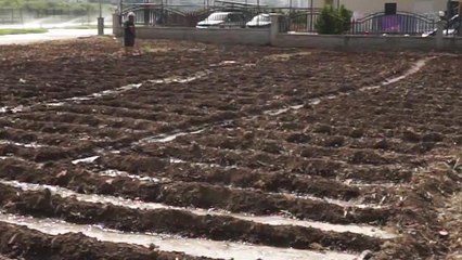 Mezitli Belediyesi, İhtiyaç Sahipleri İçin "Halk Bahçesi" Projesini Hayata Geçiriyor