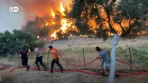 Antalya'da yanan ormanlar ve evler şimdi ne durumda?
