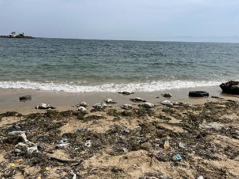 SİNOP SAHİLİNDE YİNE KARA GERDANLI DALGIÇ ÖLÜMLERİ