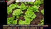 Organic panic! Leafy vegetables treated with organic fertilisers could be harbouring harmful b - 1br