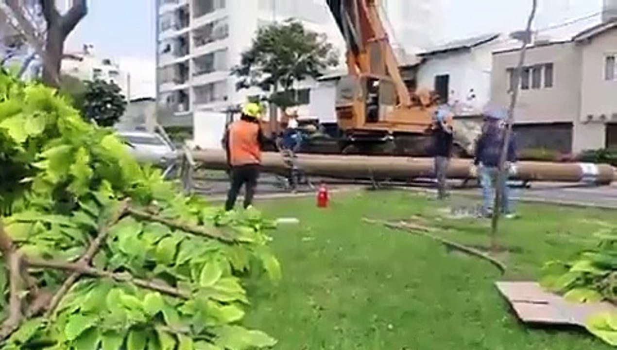 En Perú, tras protestas de los vecinos, retiran antena 5G camuflada como árbol