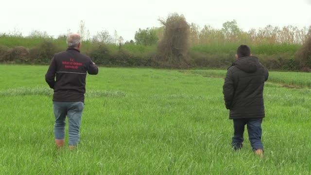 Efsane güreşçi Yaşar Doğu'nun lakabı Koca Yaşar yerli çim çeşidine verildi