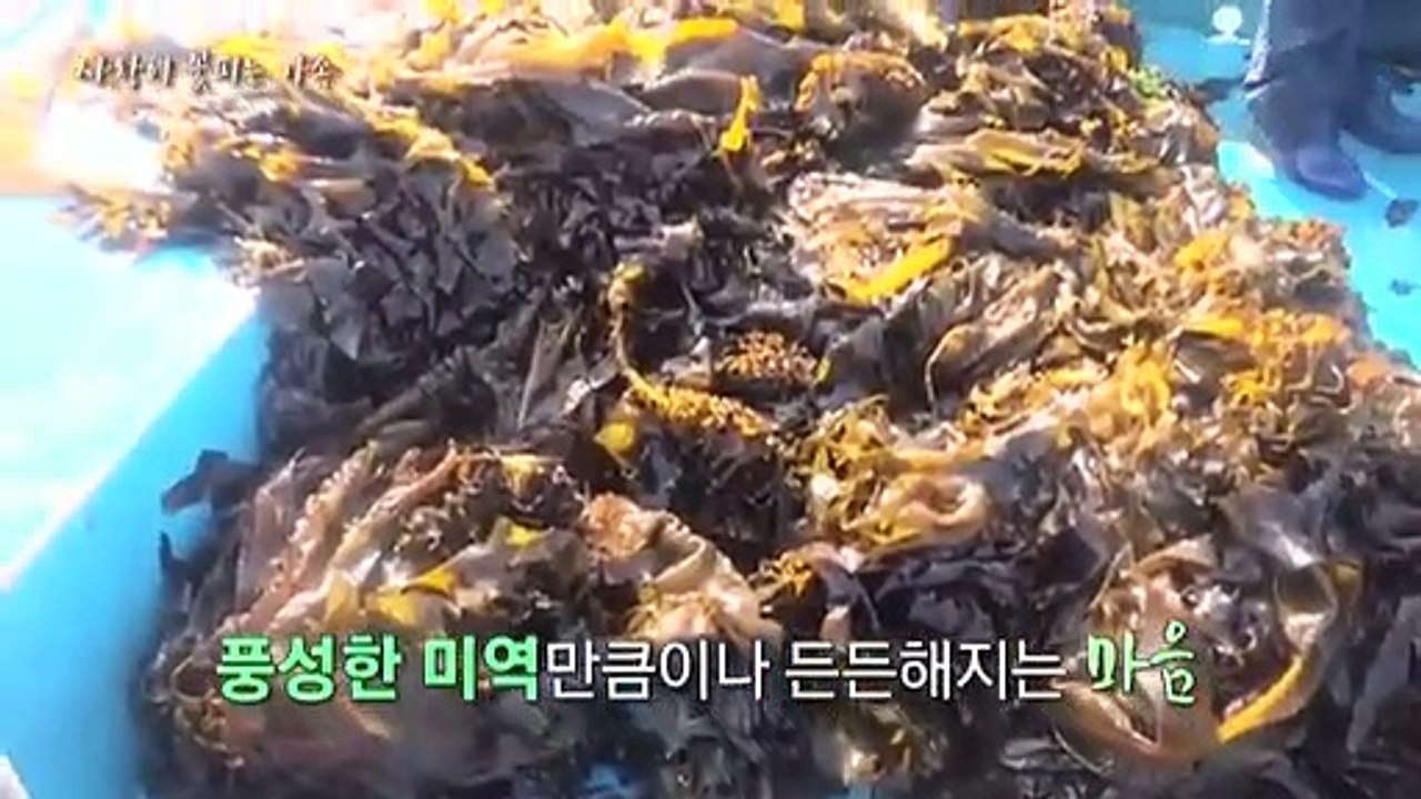 [미니다큐] 아름다운 사람들 - 205회 : 사랑이 꽃피는 가족