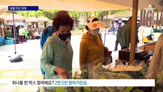 3년 만에 돌아온 지역 축제…봄나들이 어디로 갈까?