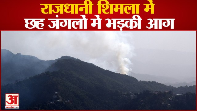 तारादेवी के जंगल में लगी आग | Forest Fire Shimla Himachal Pradseh | Fire In Tara Devi Shimla