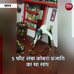 सागर : जहरीले सर्प को देखकर दहशत में परिवार