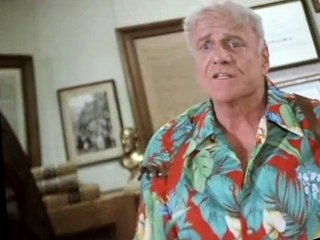 Hardcastle and McCormick S01 E01