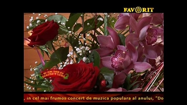 Ioan Chirila - Marita, Marita (M-am dus cu dorutu-n lume - Favorit TV - 07.11.2016)