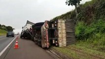 Susto: Depois de perder o controle da direção, motorista tomba carreta carregada de adubo na BR-277